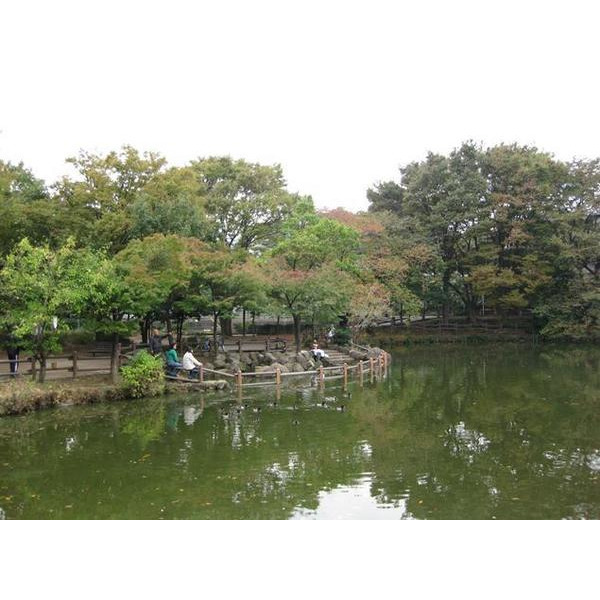 公園　菊名池公園（公園）まで656m