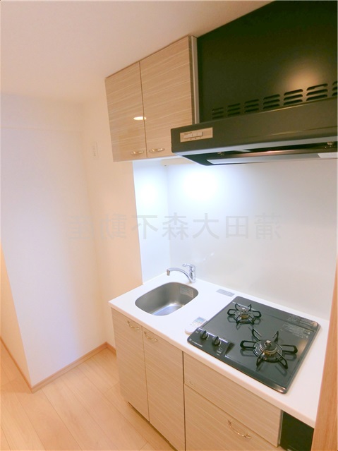 キッチン　２口ガスシステムキッチン