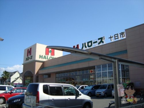 スーパー　ハローズ 十日市店（スーパー）まで813m