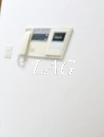 セキュリティ　モニター付きインターホンです。