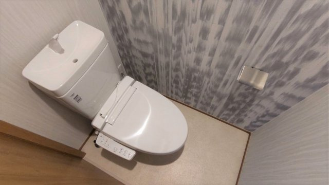 トイレ　ウォシュレット機能付きです