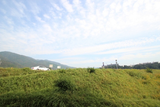 【広島市安佐南区八木のマンションの眺望】