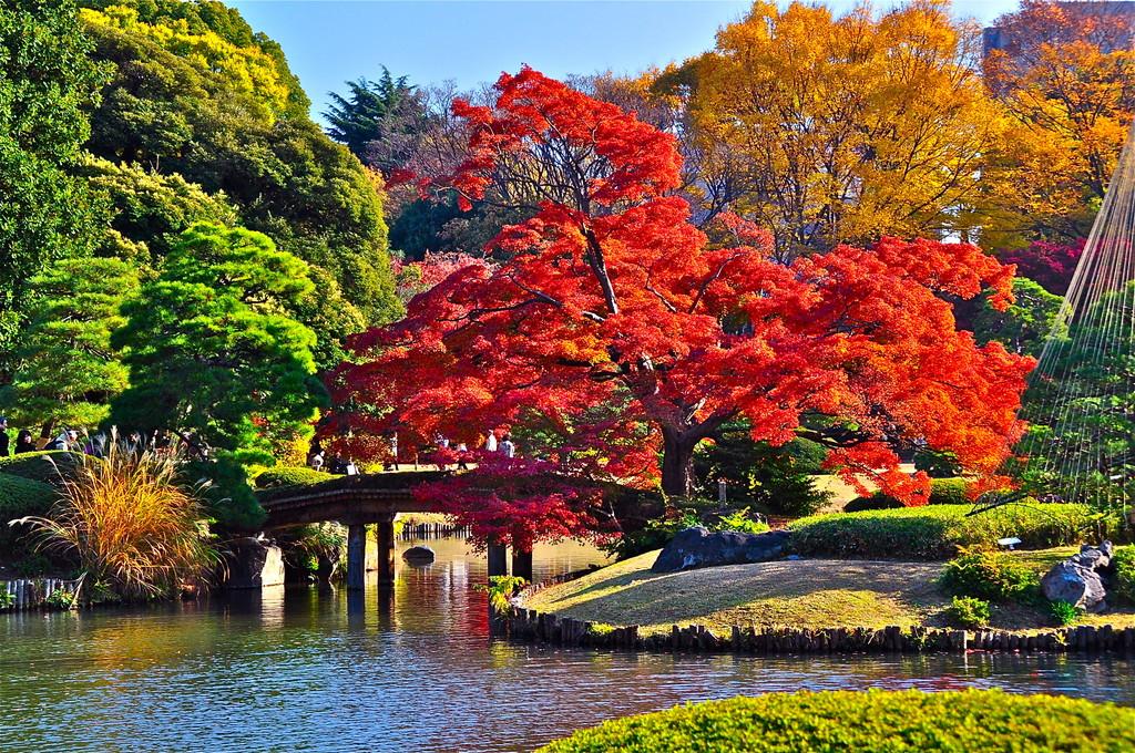 【文京区本駒込のマンションの公園】