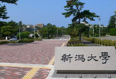 大学・短大　国立新潟大学（大学・短大）まで593m