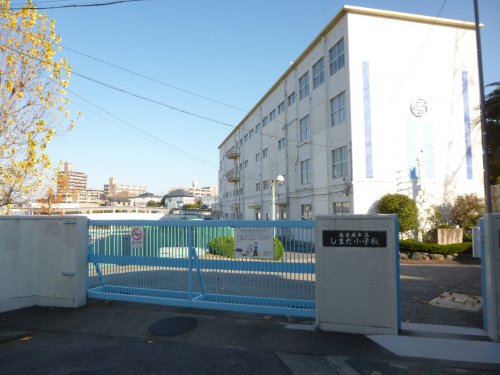 小学校　市立しまだ小学校（小学校）まで579m