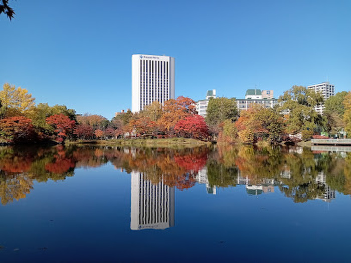 公園　中島公園（公園）まで98m
