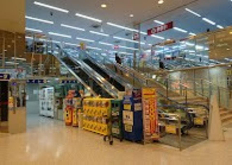 ショッピングセンター　ヤマダデンキ ロルフベンツ東京（ショッピングセンター）まで587m