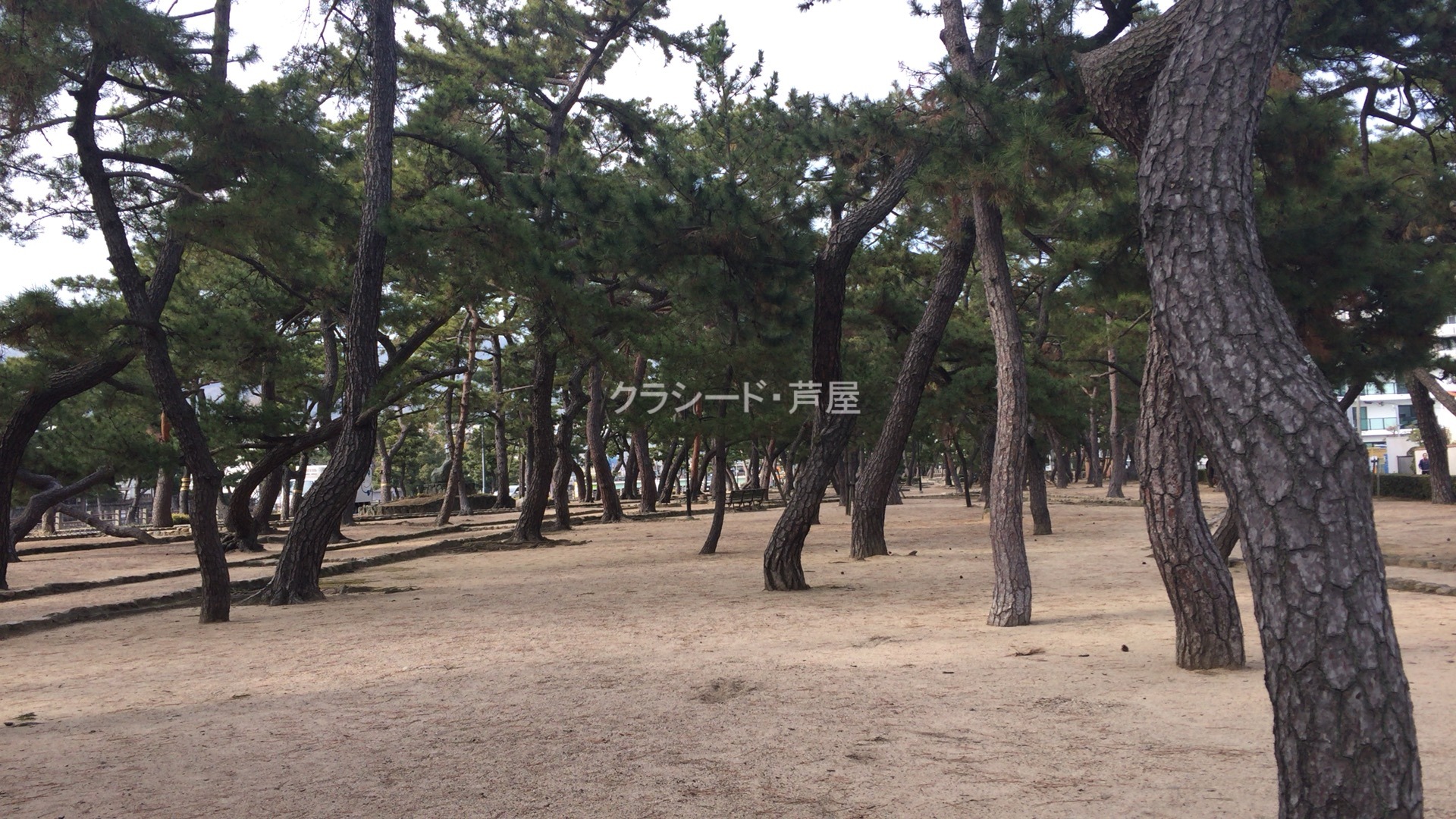 公園　芦屋公園（公園）まで200m