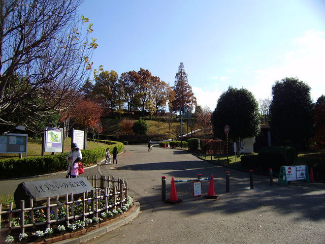 公園　ぼうさいの丘公園（公園）まで300m