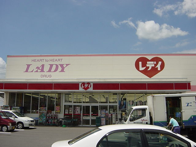 その他　レディ薬局（ドラッグストア）（その他）まで800m