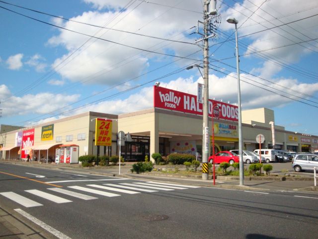 スーパー　ハローランド（スーパー）まで1300m