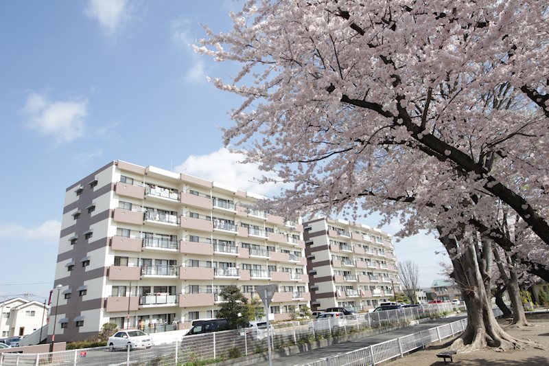 建物外観　公園からの木々で四季折々楽しめます。