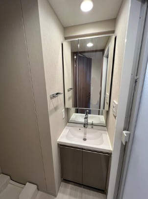 洗面設備　（別タイプ参考写真）エステムプラザ池袋立教通り　豊島区西池袋