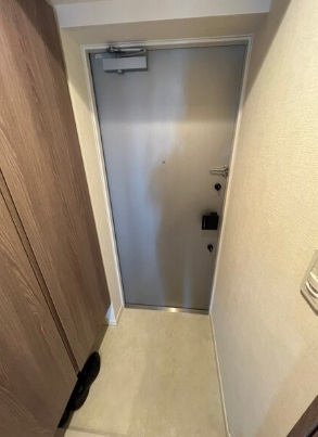 玄関　（別タイプ参考写真）エステムプラザ池袋立教通り　豊島区西池袋