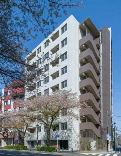 建物外観　鉄筋コンクリート造のがっちりとした建物。