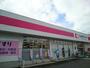その他　ココカラファイン新潟関新店まで500m