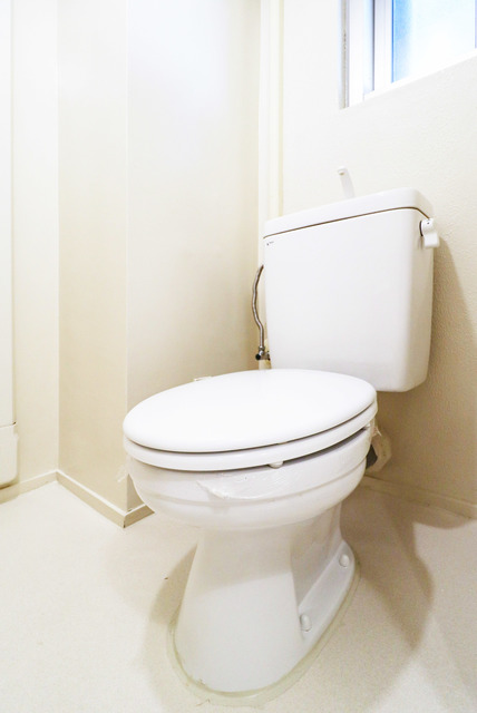 UR高座台のトイレ写真