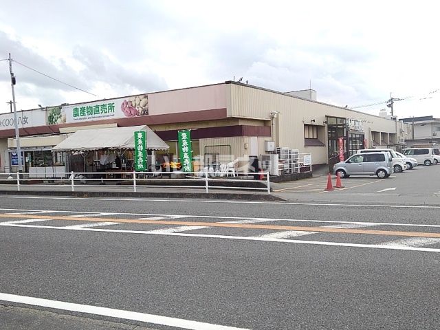 ms court babaの周辺写真