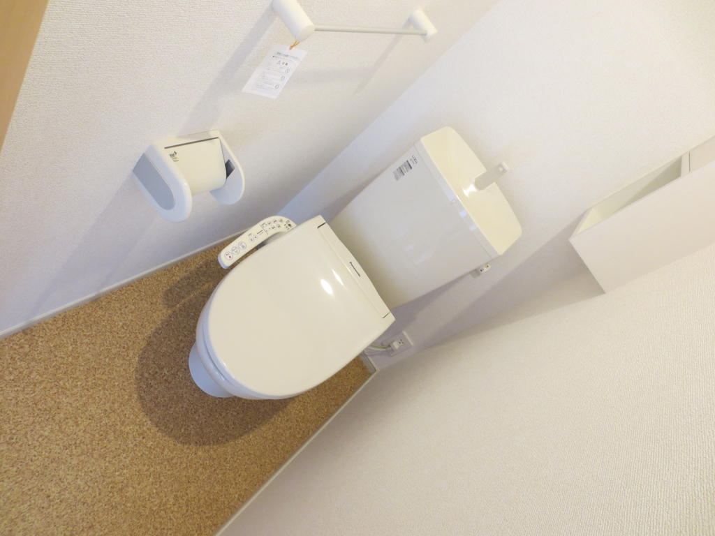 ＪＲ常磐線 佐和駅 徒歩46分 2階建 築11年のトイレ写真