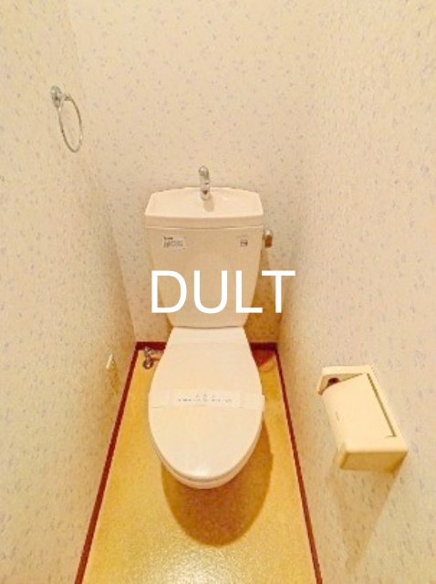 都営大江戸線 蔵前駅 徒歩8分 6階建 築21年のトイレ写真