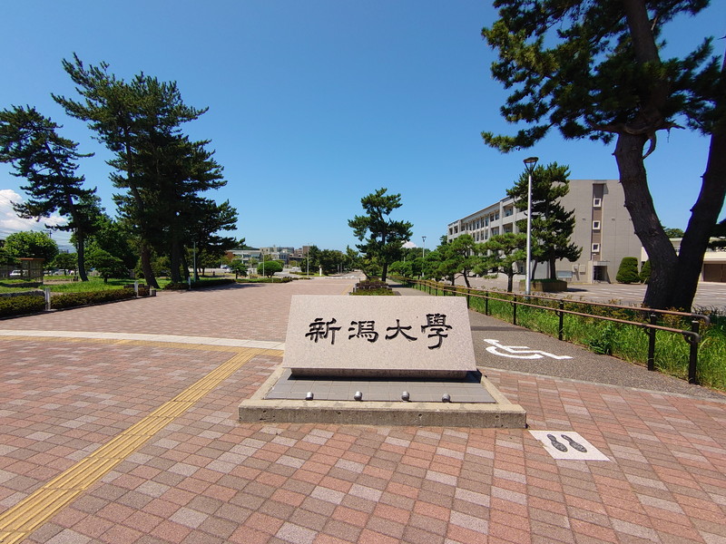 サンシャイン五十嵐_その他_10