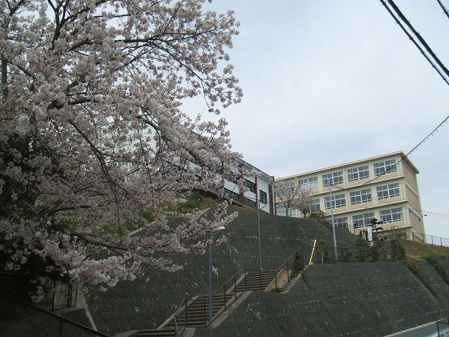 【浜松市中央区入野町のアパートの中学校】