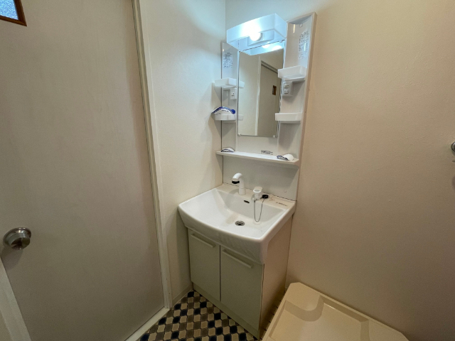 洗面設備　忙しい朝に嬉しいシャワー付き洗面台です。