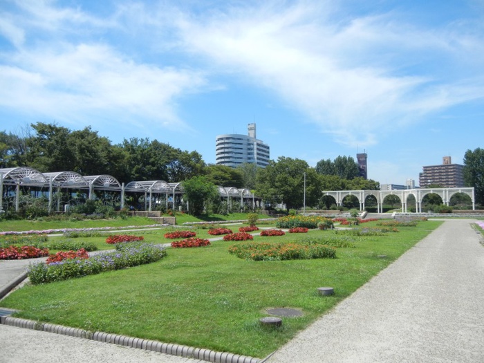 公園　住之江公園（公園）まで250m