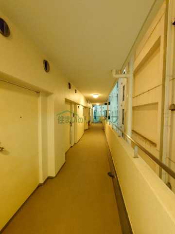 その他　ドエル・ピュアネス