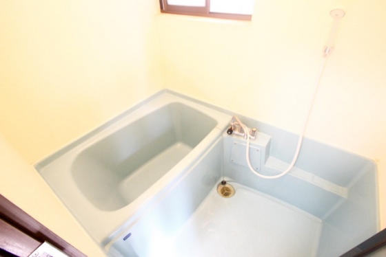 バス・シャワールーム　※ほかの部屋の写真です。