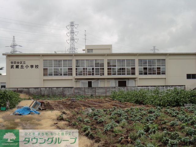 小学校　世田谷区立武蔵丘小学校（小学校）まで740m