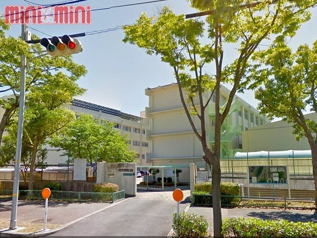 小学校　神戸市立神の谷小学校（小学校）まで602m