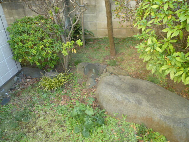 その他　植栽