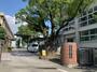 小学校　御幸小学校（小学校）まで1028m