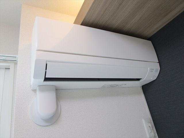 Dーガルデニアのその他写真