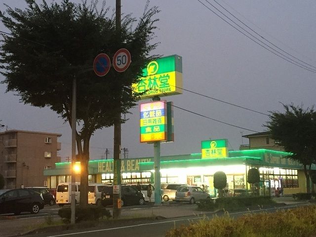 ドラックストア　杏林堂ドラッグストア向宿店（ドラッグストア）まで800m