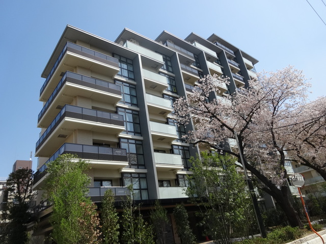 建物外観　マンションの前の桜並木が本当にきれいです♪