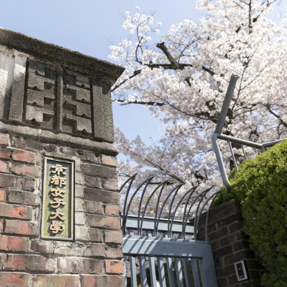 プリシード東福寺レジデンスの周辺写真