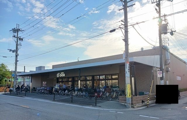 スーパー　スーパーオオジ富松店（スーパー）まで300m