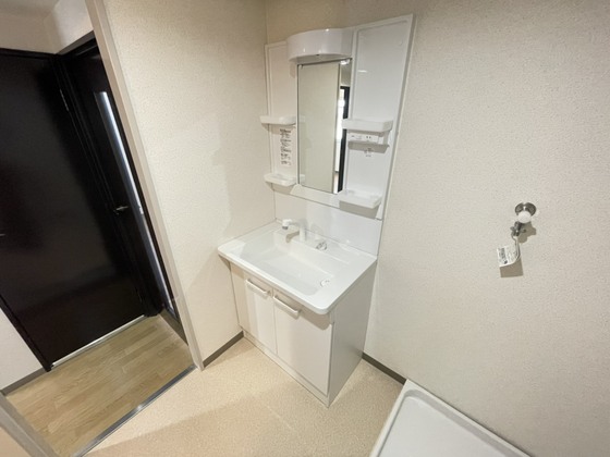 洗面設備　※別号室の写真です