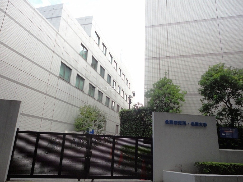 大学・短大　私立北里大学（大学・短大）まで756m
