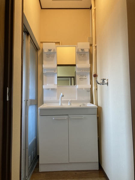 洗面設備　ゆったりとスペースのある洗面所※別号室の写真です