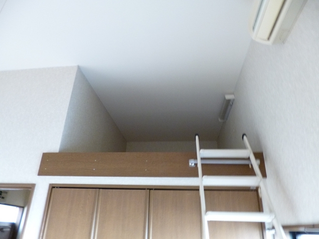 その他　ロフトの入口です！