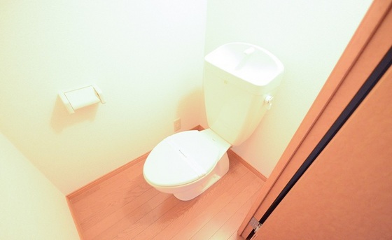 トイレ　※別部屋の写真です