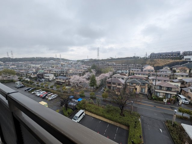 眺望　眺望は開けています