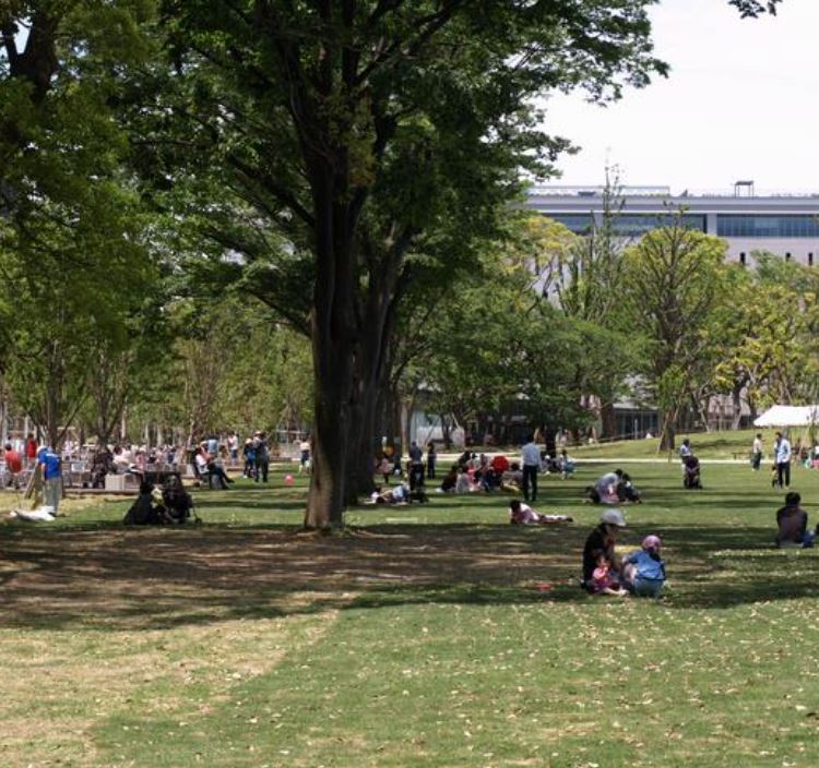 公園　中野区立中野四季の森公園（公園）まで498m