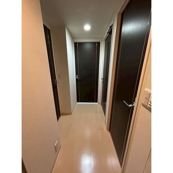 玄関　写真は同マンションの他のお部屋のものです