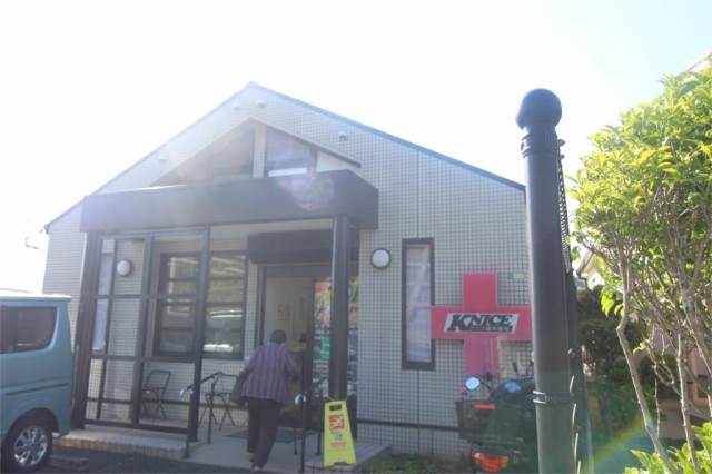 ドラックストア　ナイス調剤薬局（ドラッグストア）まで872m