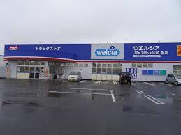 ドラックストア　ウェルシア長岡笹崎店（ドラッグストア）まで350m