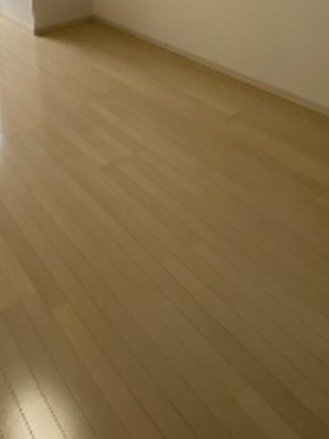 居室・リビング　フローリングのお部屋